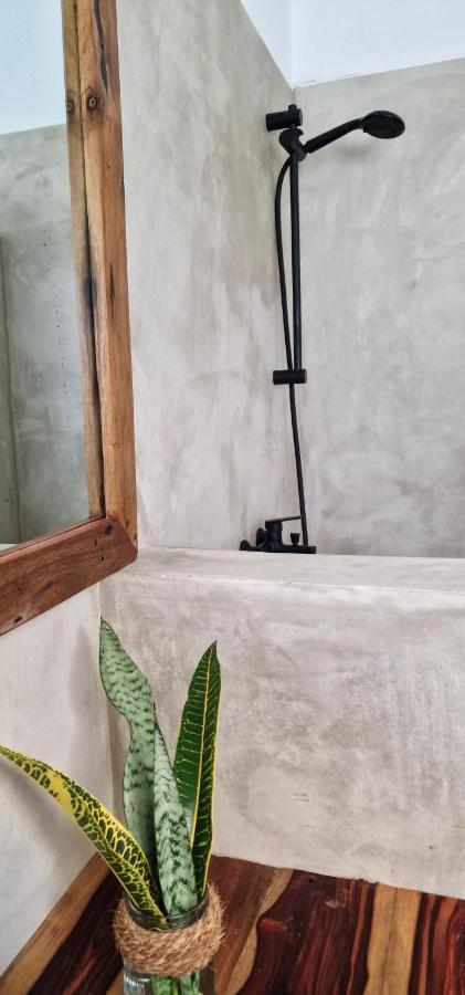 Mlango Paje House B&B 외부 사진